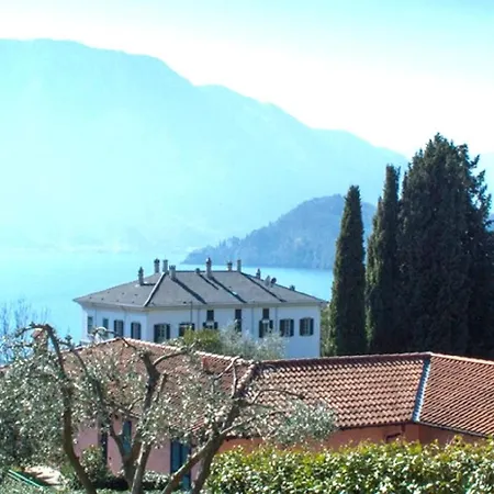 Oliva